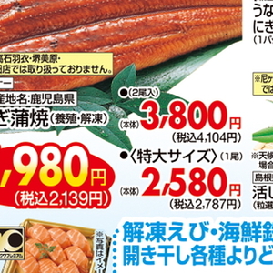うなぎの蒲焼き