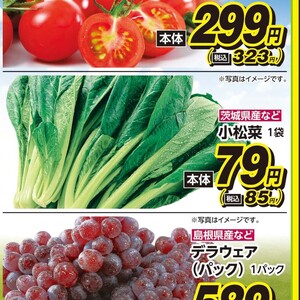 こまつ菜