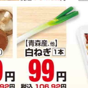 ながねぎ