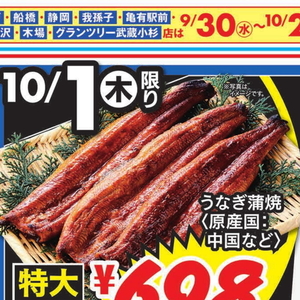 うなぎの蒲焼き