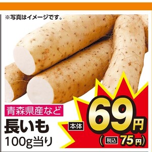 ながいも