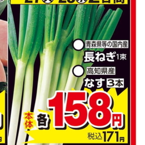 ながねぎ