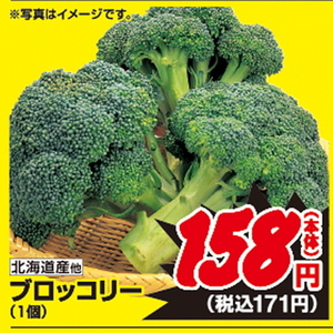 ブロッコリー