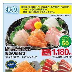 その他魚介刺身