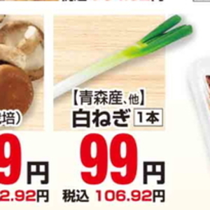 ながねぎ