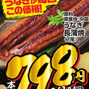 うなぎの蒲焼き