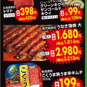 うなぎの蒲焼き