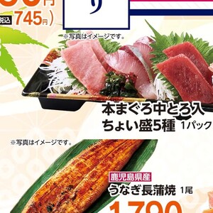 まぐろ中とろ