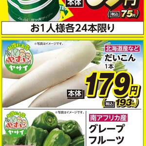 だいこん