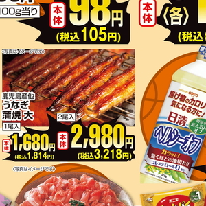 うなぎの蒲焼き