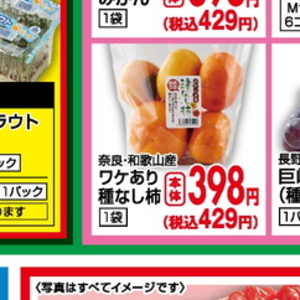 カイワレ大根
