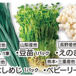 エリンギ