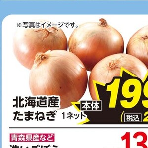 たまねぎ