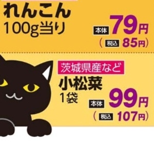 こまつ菜