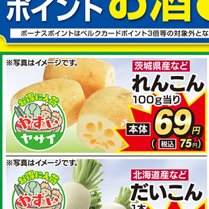 レンコン