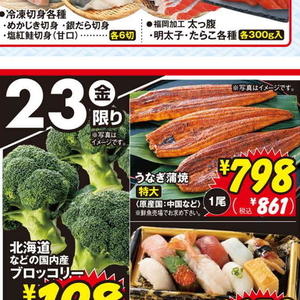 うなぎの蒲焼き