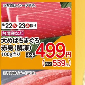 まぐろ赤身