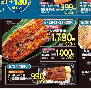 うなぎの蒲焼き