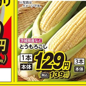 とうもろこし