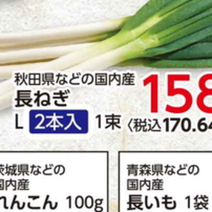 ながねぎ