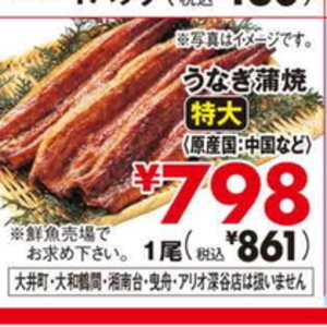 うなぎの蒲焼き