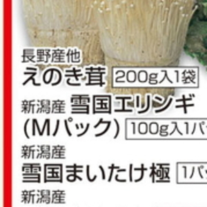 エリンギ