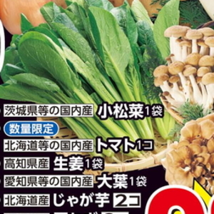 こまつ菜