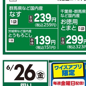 とうもろこし