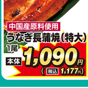 うなぎの蒲焼き