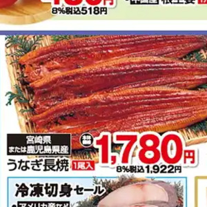 うなぎの蒲焼き