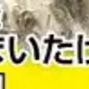 まいたけ