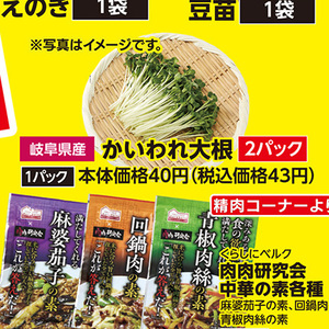 カイワレ大根