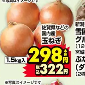 たまねぎ
