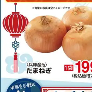 たまねぎ