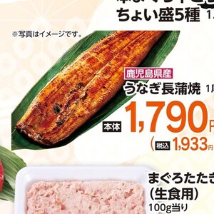 うなぎの蒲焼き