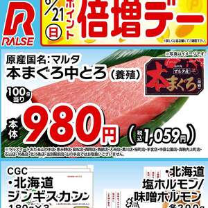 まぐろ中とろ