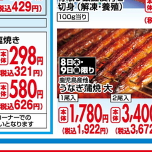 うなぎの蒲焼き