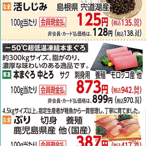 まぐろ中とろ