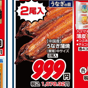 うなぎの蒲焼き