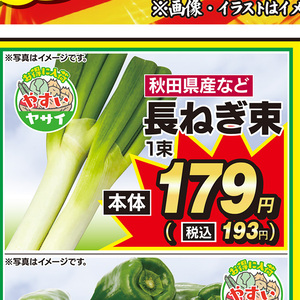 ながねぎ