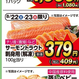 サーモン（刺身）