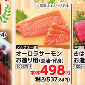 サーモン（刺身）