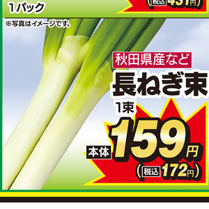 ながねぎ