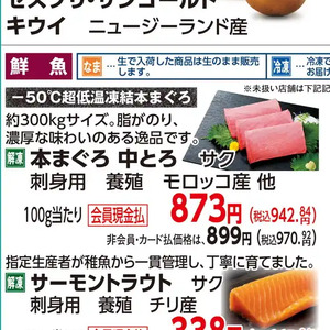 まぐろ中とろ