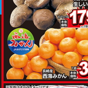 しいたけ