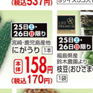 ゴーヤ