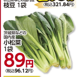 こまつ菜