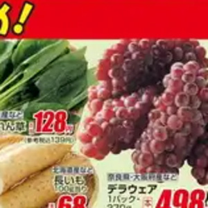 ながいも