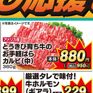 牛肉ハラミ