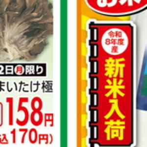 まいたけ